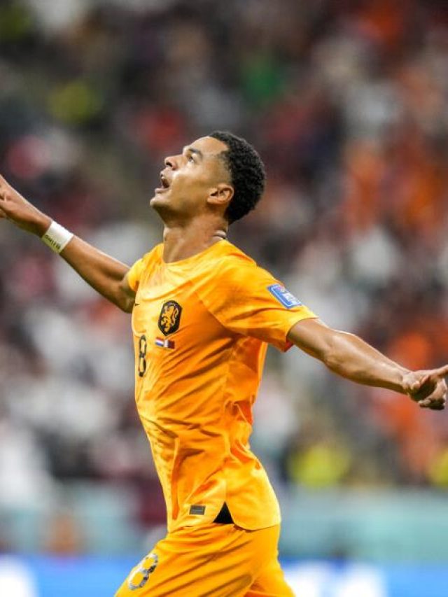 Netherlands beat Qatar 2-0 to win Group A
